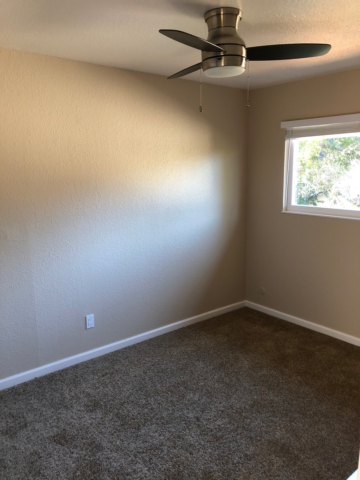 Building Photo - 366 Rose Ave