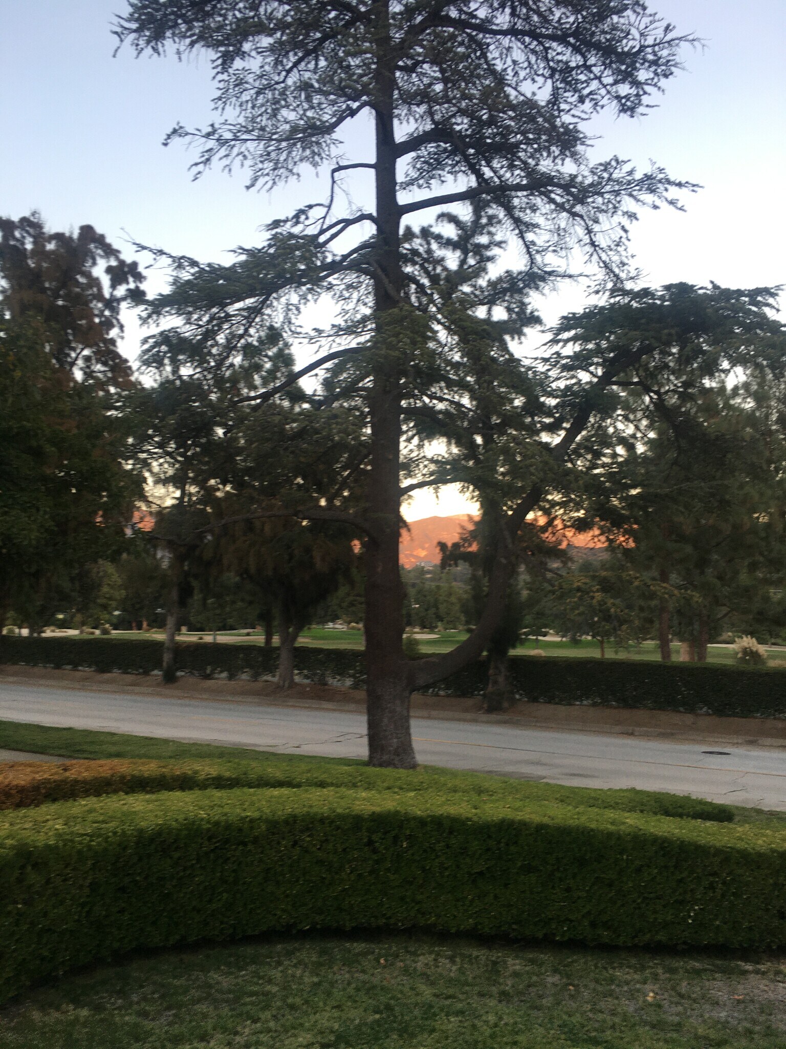 street fronting unit - 3141 Country Club Dr