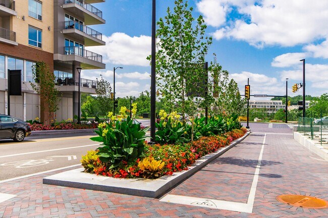 Building Photo - 4186 McCune Ave