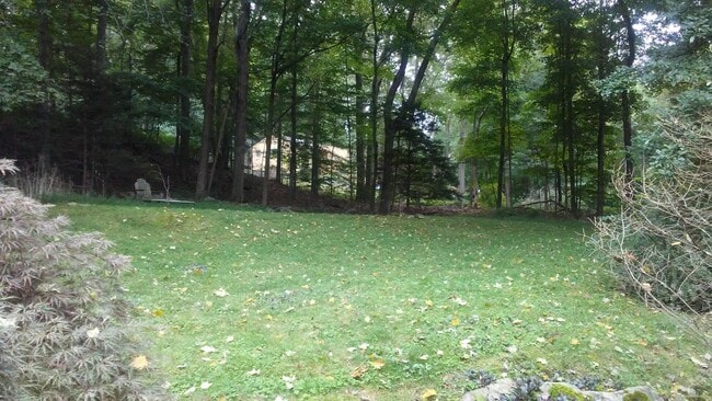 Yard - 2195 Long Ridge Rd