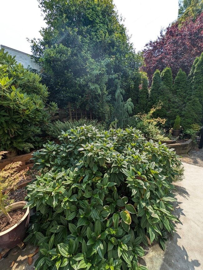 Building Photo - Capitol Hill Condo Available in June - Two Bedroom, High Floor Unit w/ A/C