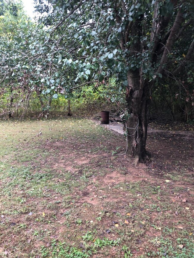 Building Photo - Charming Single-Story Home on a Spacious Lot