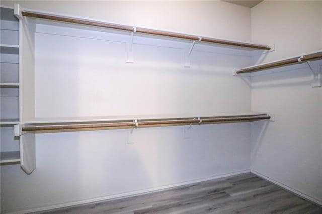 Building Photo - 2233 Frosted Willow Ln