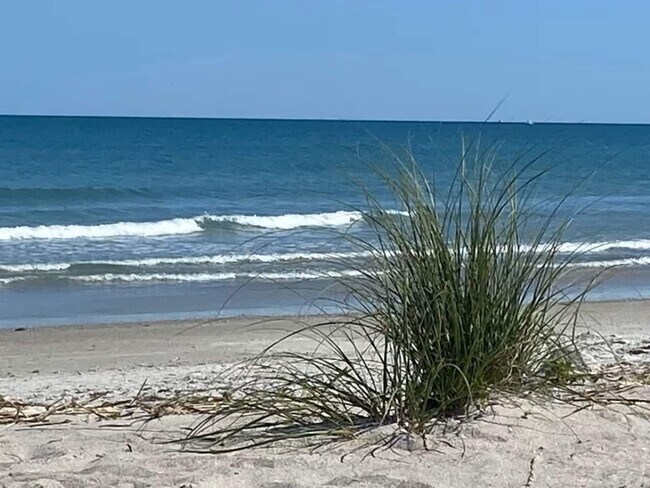 Building Photo - 8600 Ridgewood Ave