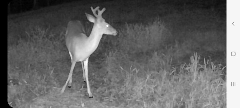 Building Photo - 621 St Luke Church Rd