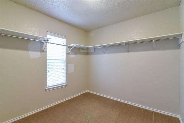 Building Photo - 2106 Delaford Dr