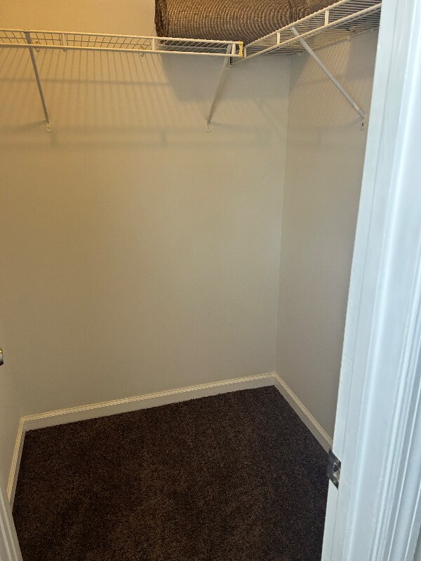 Building Photo - 305 Rose Marie Ln