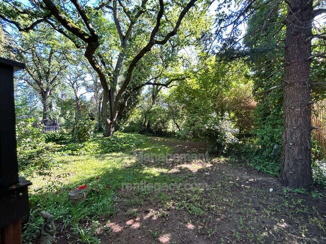 Building Photo - 209 Willow Ave