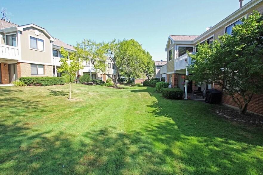 Backyard - 404 Sandalwood Ln