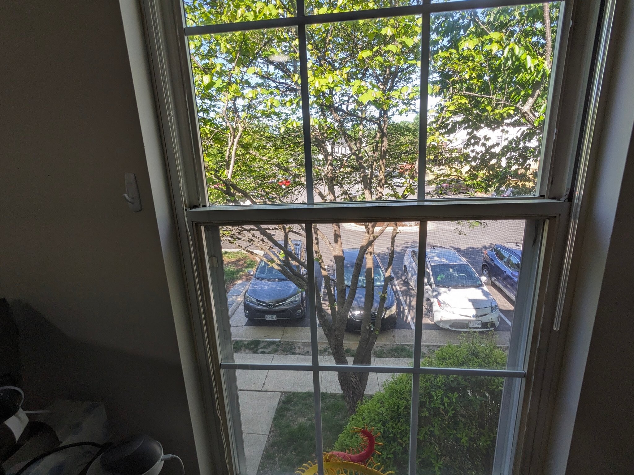 Building Photo - 1711 Vonnies View Ct