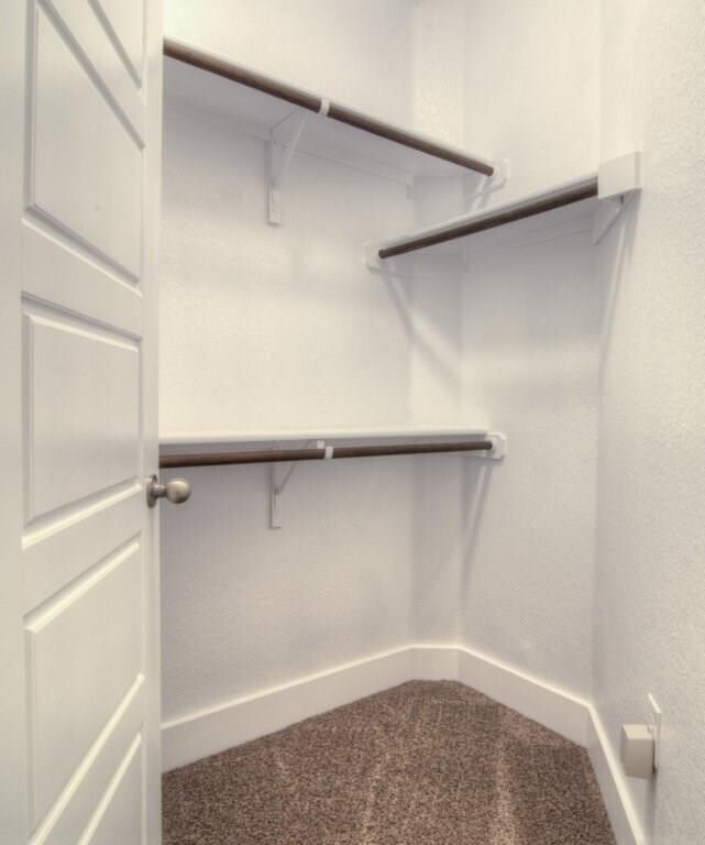 Building Photo - 7411 Pantherpaw St