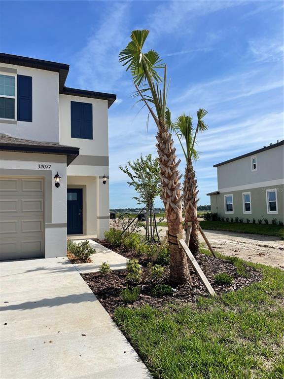 Building Photo - 32077 Powderpuff Mimosa Dr