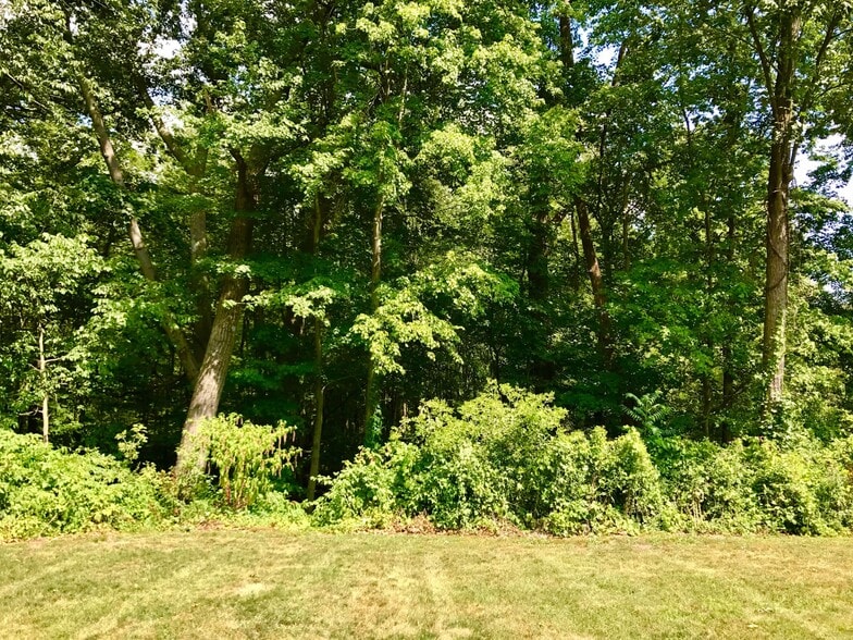 Peaceful wooded views. - 874 A Pleasant Ridge Rd