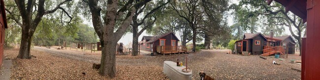 Primary Photo - Beautiful 3 Bedroom/1 bathroom home with a...