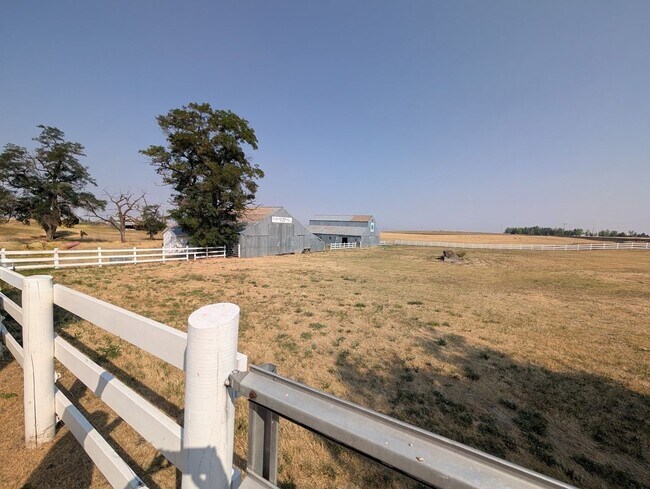 Building Photo - 35774 Waha Rd
