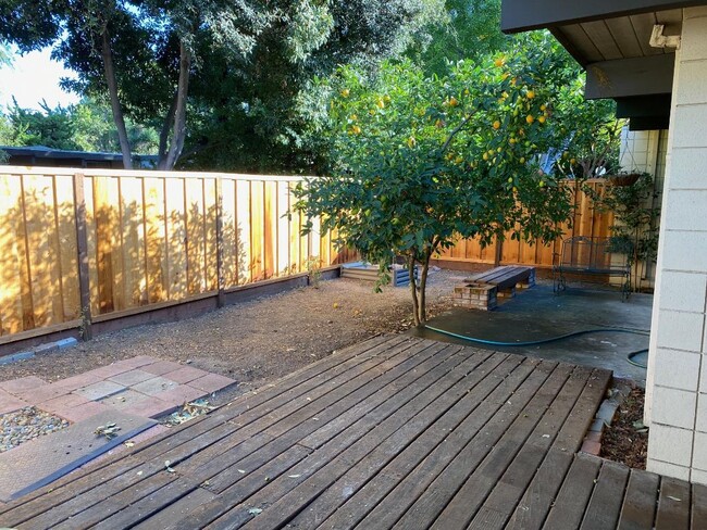 Backyard - 1102 Pomeroy Avenue