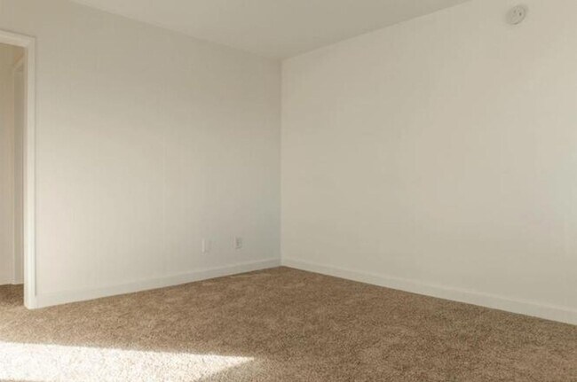 Building Photo - Pine