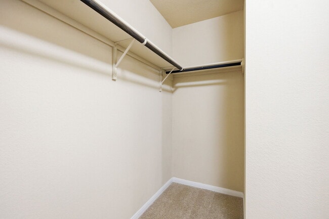 Building Photo - 12013 Waterford Run Way