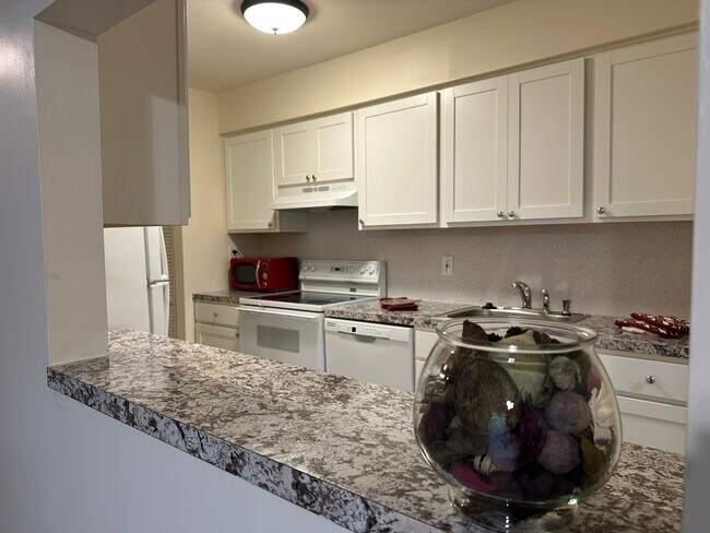 Building Photo - 703 Camelback Ct