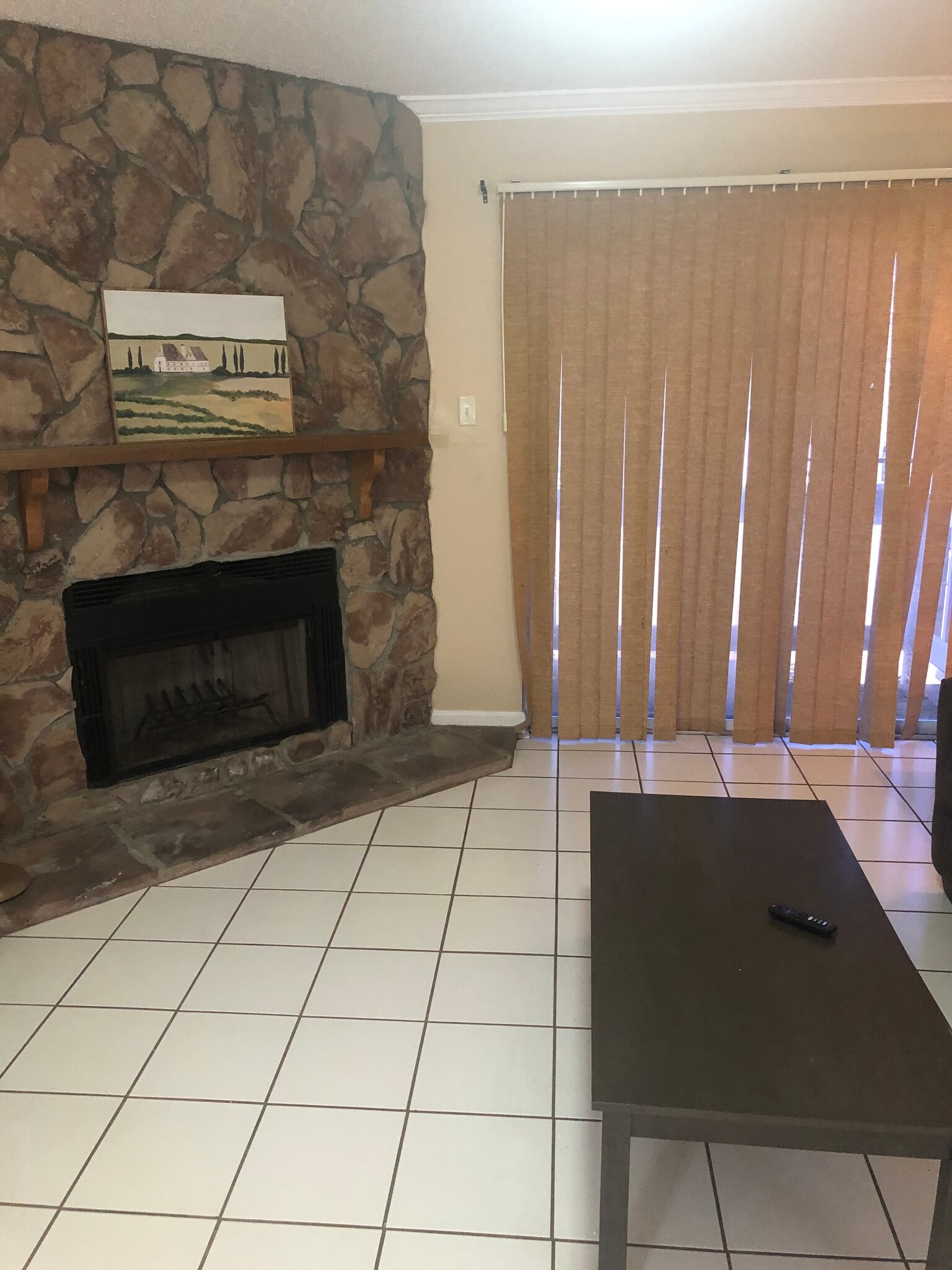 Fireplace - 734 G Village Drive
