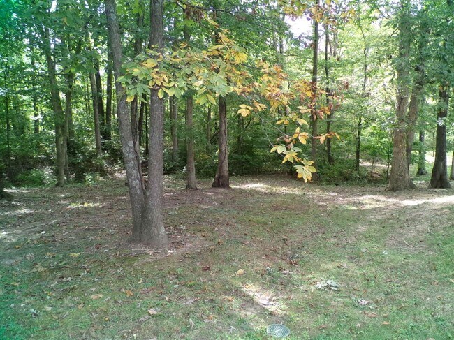 Building Photo - 244 Meadowview Dr
