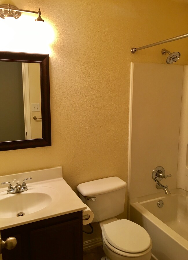 Guest Bathroom - 2009 Bowie Ln