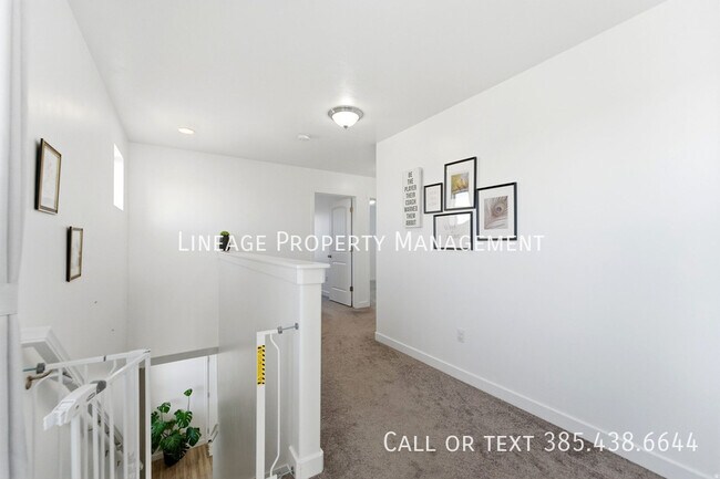 Building Photo - 10847 Big Meadow Dr