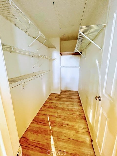 Building Photo - 12825 Ternberry Ct