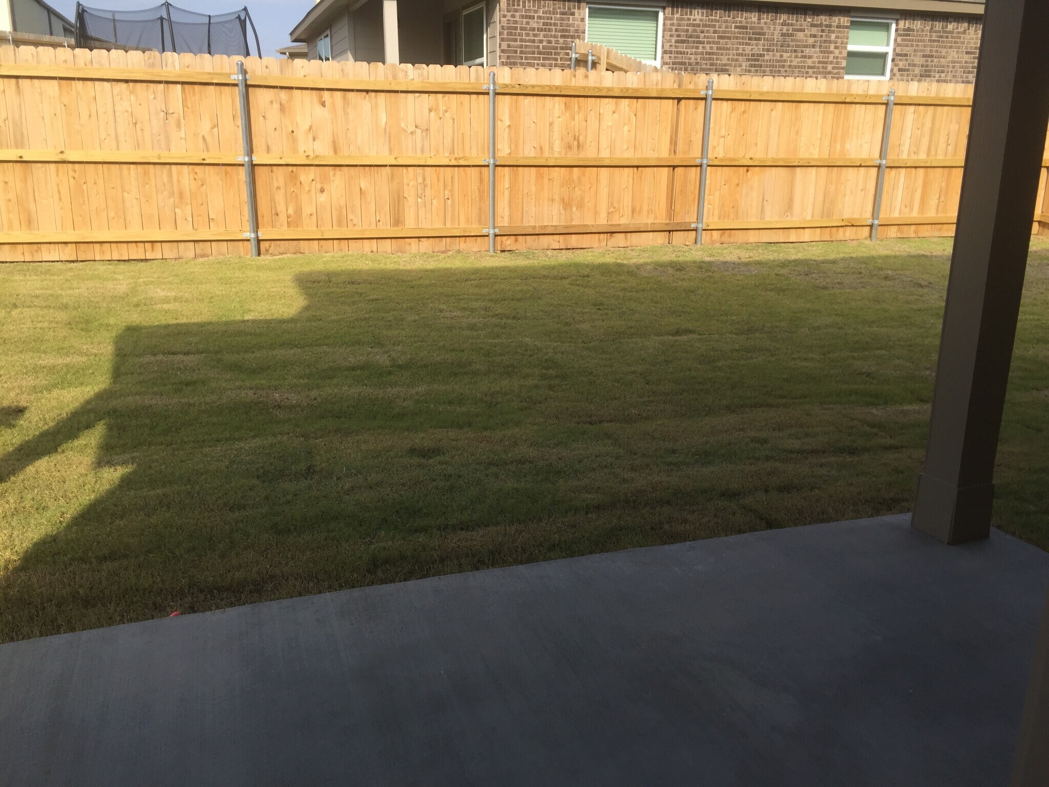 Back yard - 3103 Quail St