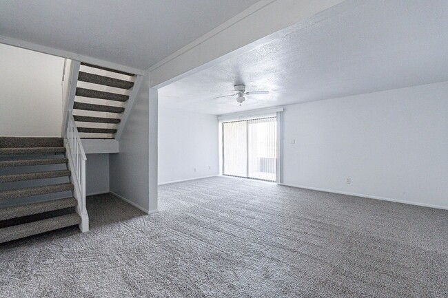 Building Photo - NEW CARPET!