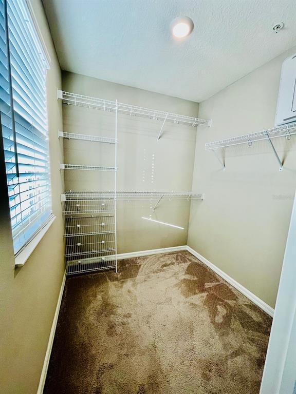 Building Photo - 294 Cedar Bark Ln