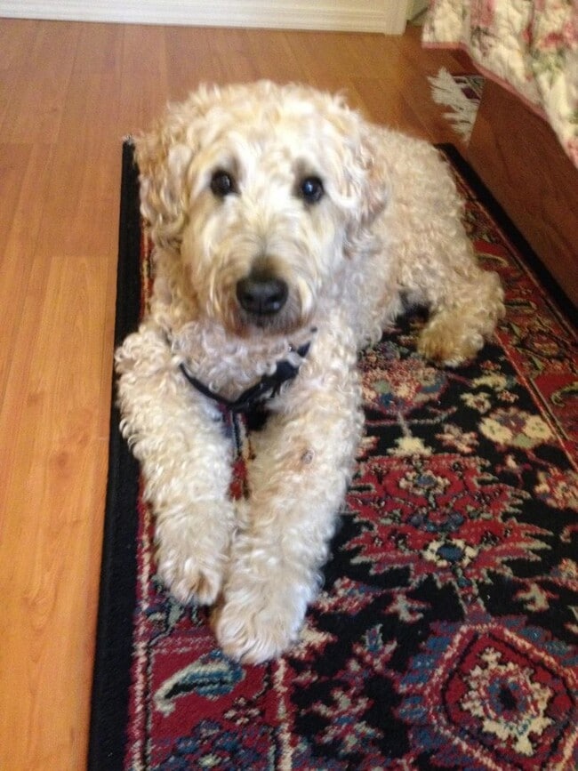 Building Photo - Farrar House