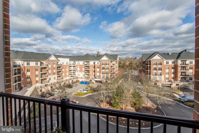 Building Photo - 523 Carson Terrace