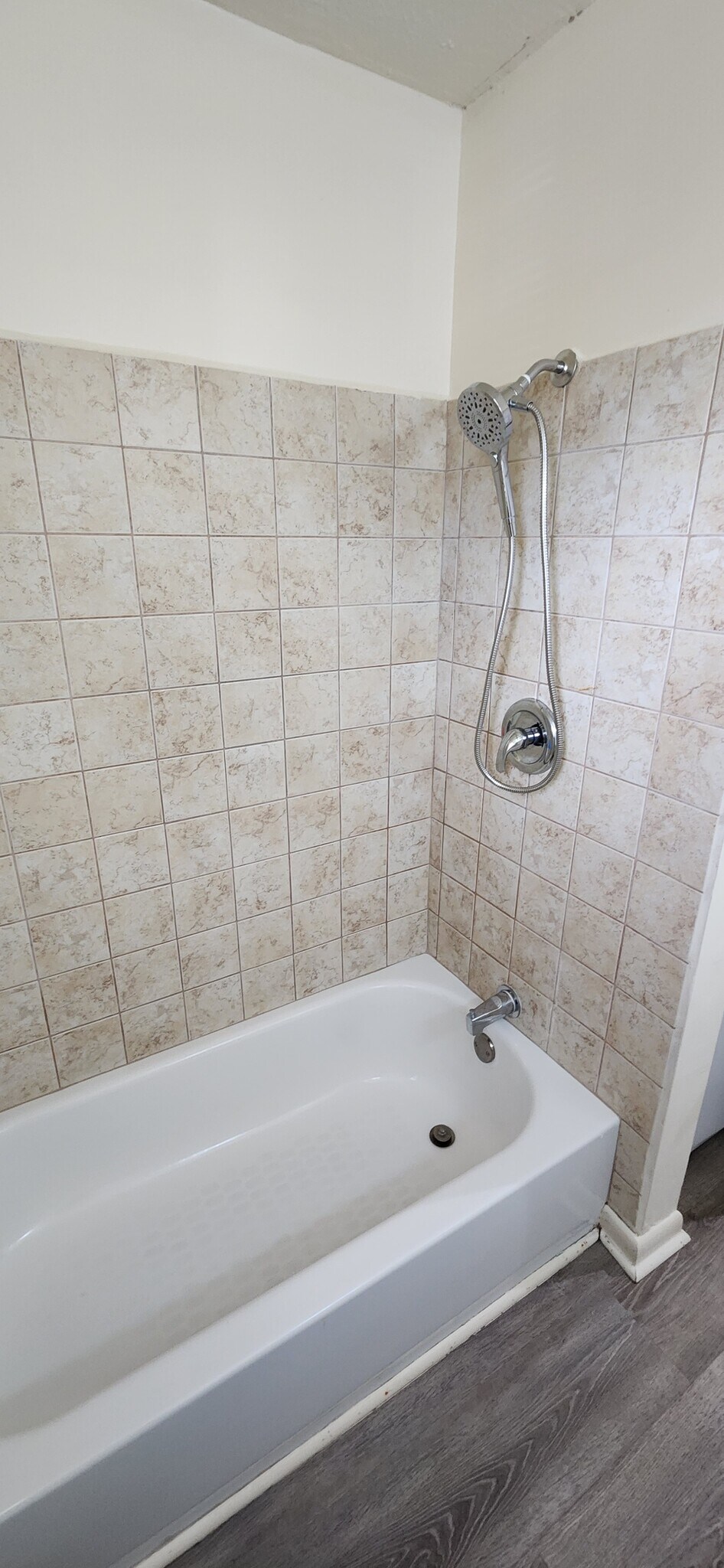 Bathroom - 293 Cosmos Dr