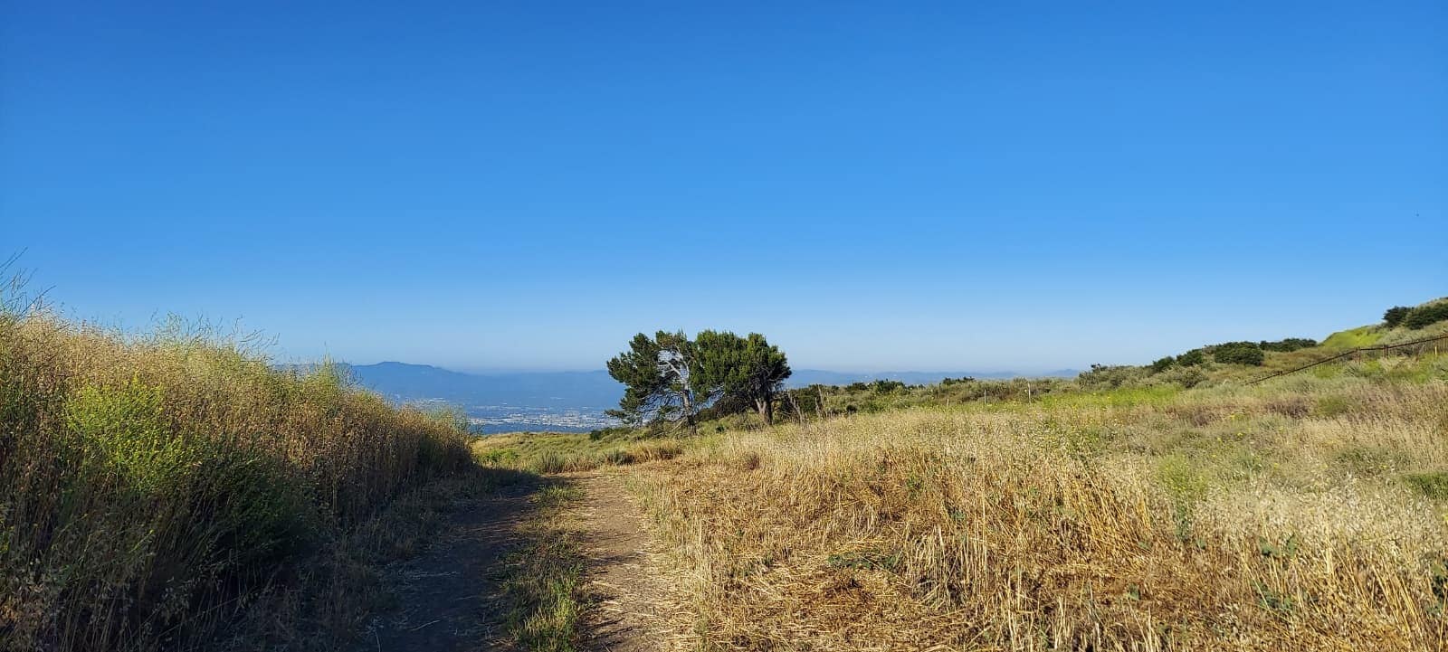 Building Photo - 17135 San Jose St