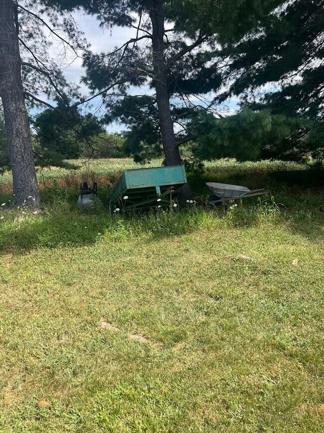 Building Photo - 3 Bedroom Home on 3 Acres