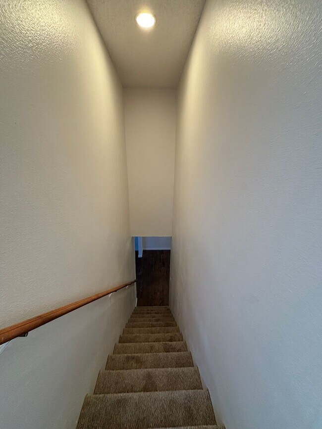 Building Photo - 4122 Aragon Dr