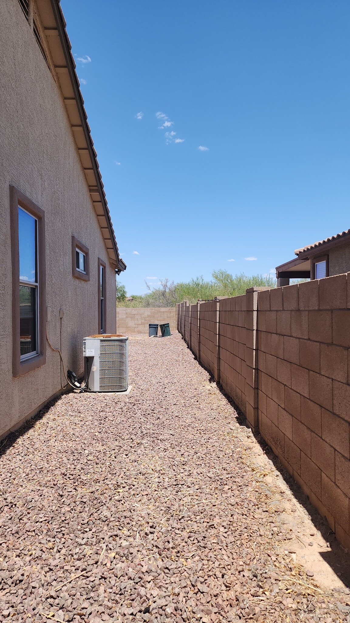 Side Entrance - 4815 E Silverpuffs Way