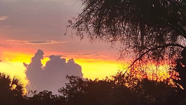 Building Photo - 5855 22nd St