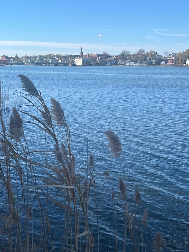 Building Photo - 896 Quinnipiac Ave