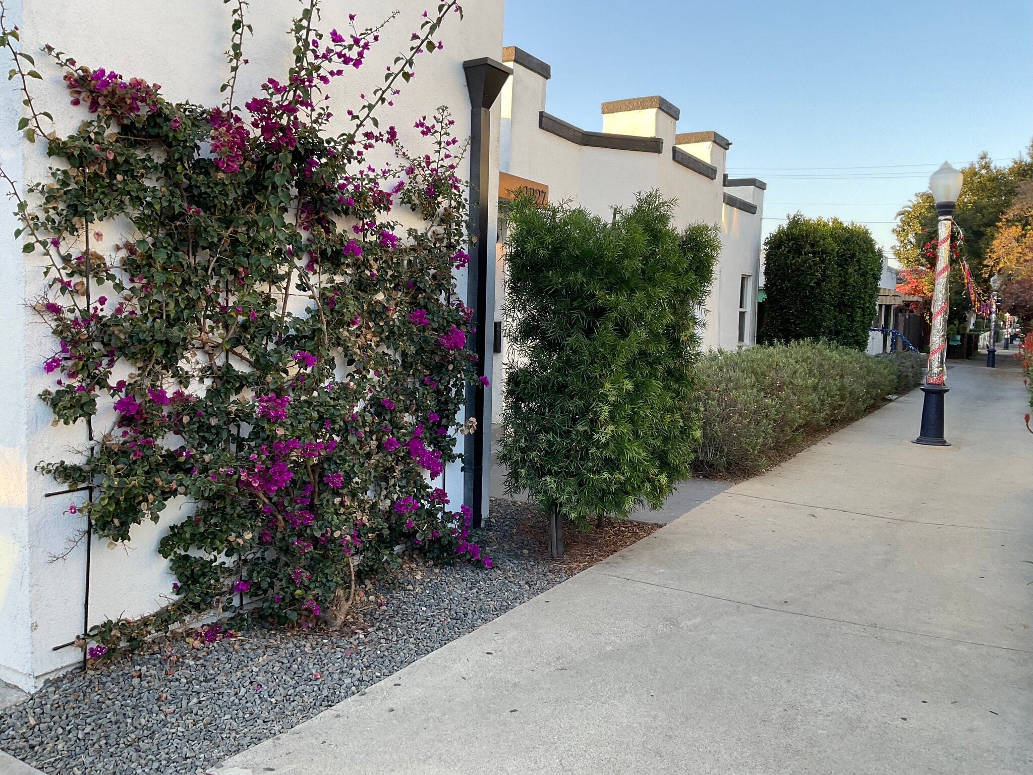 Building Photo - 1227 E 7th St