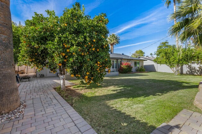 Building Photo - Cute 3 Bedroom 2 Bath In Phoenix!