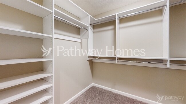 Building Photo - 903 Sweetbay Ct