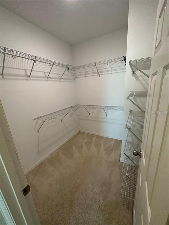 Building Photo - 9350 Woodcrane Dr