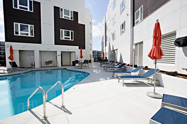 Resort Style Pool - 1301 Hillsborough