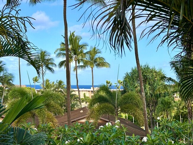 Primary Photo - 3788 Lower Honoapiilani Rd