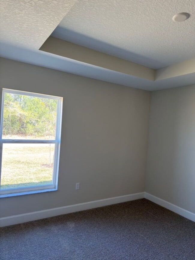 Building Photo - Brand new 4 bedroom home for rent