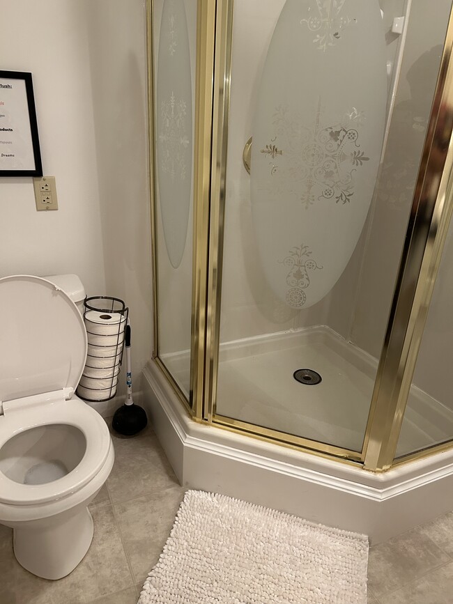 Lower level bathroom - lower level - 6245 Iron Bridges Rd