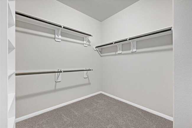 Building Photo - 24931 Pavarotti Pl
