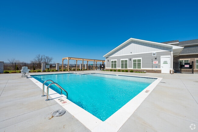 Sparkling Swimming Pool - The Grove